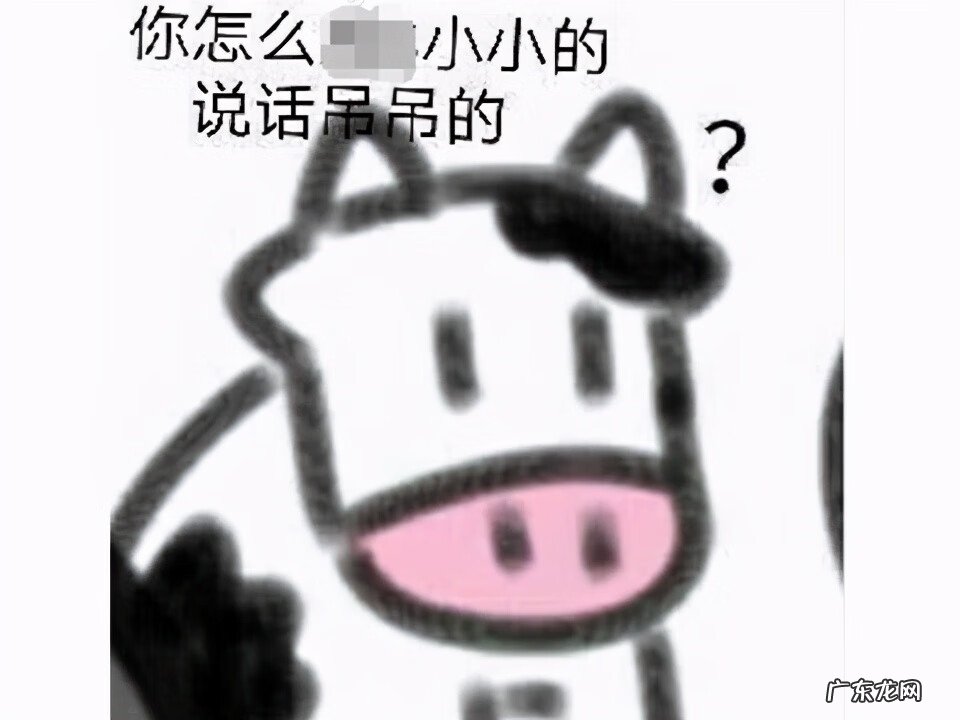 飞鱼加速器 鲸鱼加速器怎么用