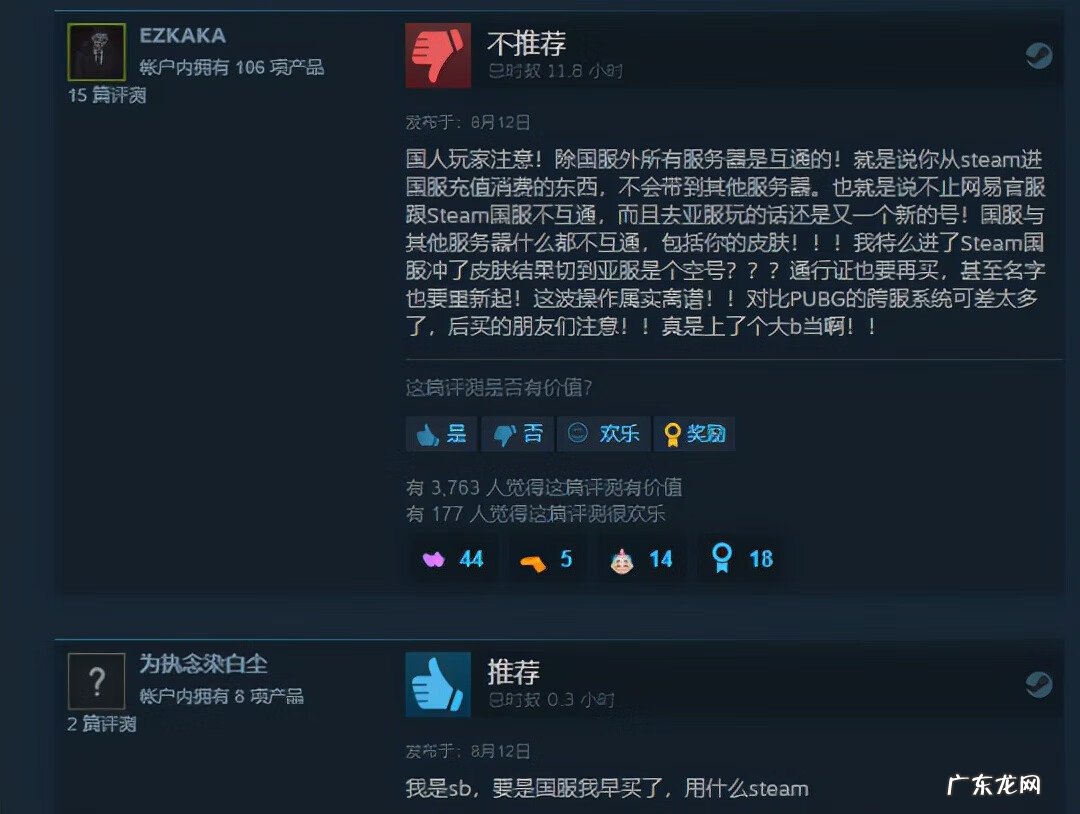 飞鱼加速器 鲸鱼加速器怎么用