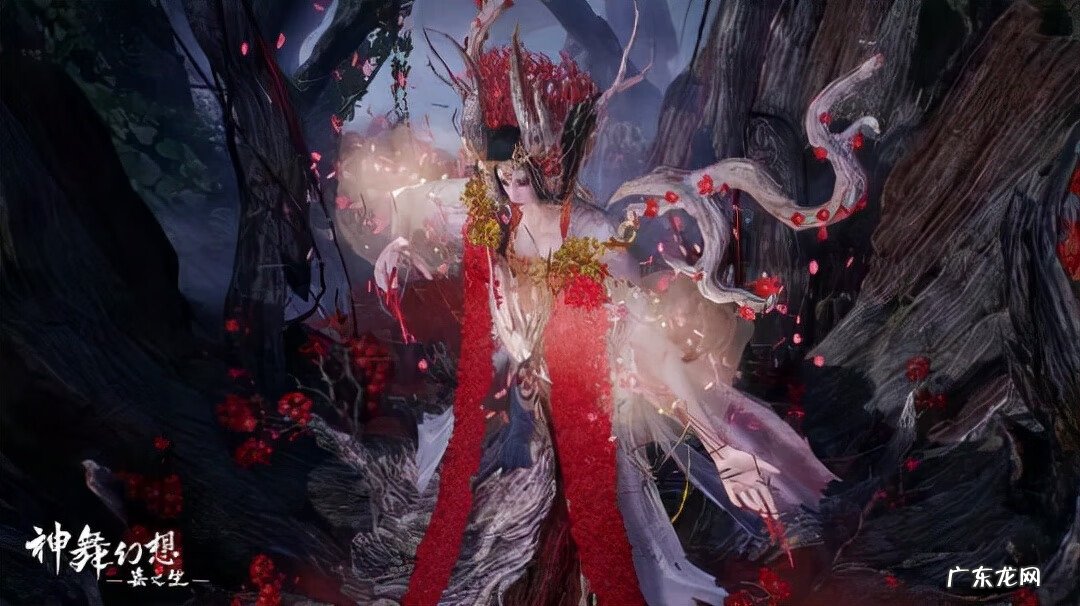 飞鱼加速器 鲸鱼加速器怎么用