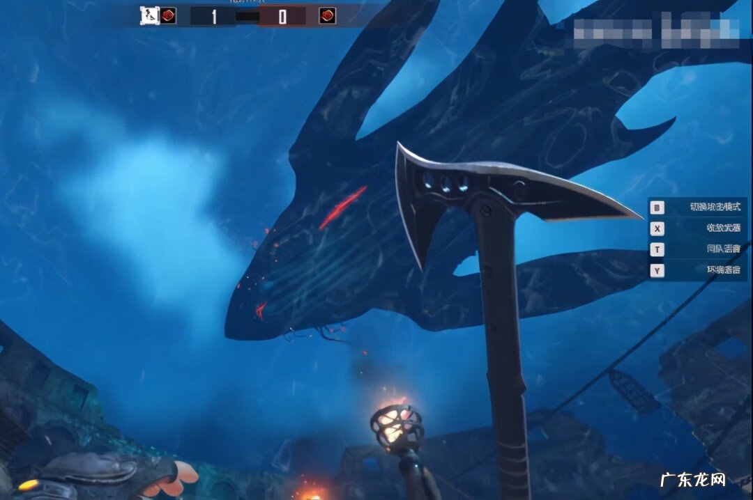 飞鱼加速器 鲸鱼加速器怎么用