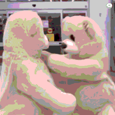 飞鱼加速器 鲸鱼加速器怎么用