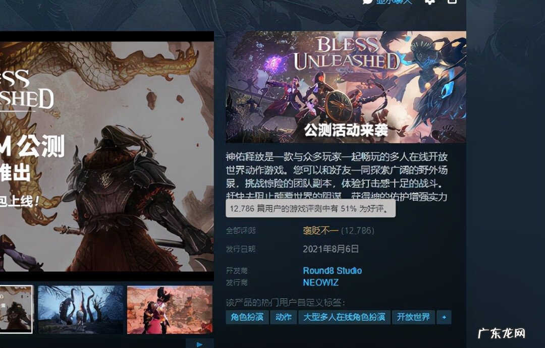 飞鱼加速器 鲸鱼加速器怎么用