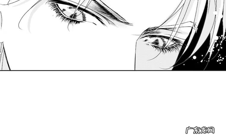 小说血族传说 血族传说漫画