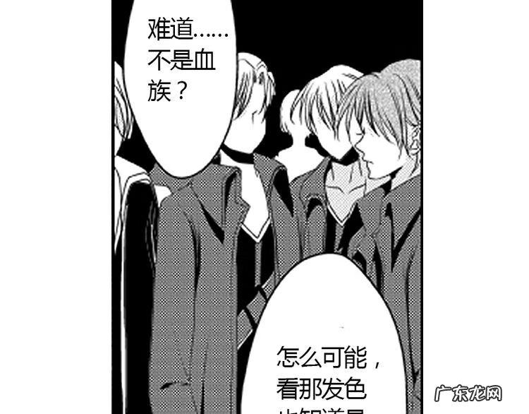 小说血族传说 血族传说漫画