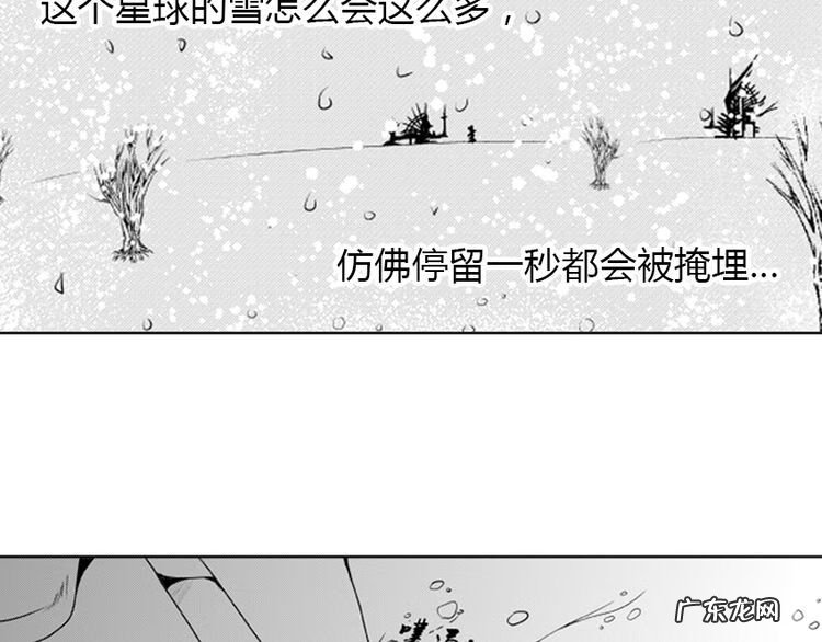 小说血族传说 血族传说漫画