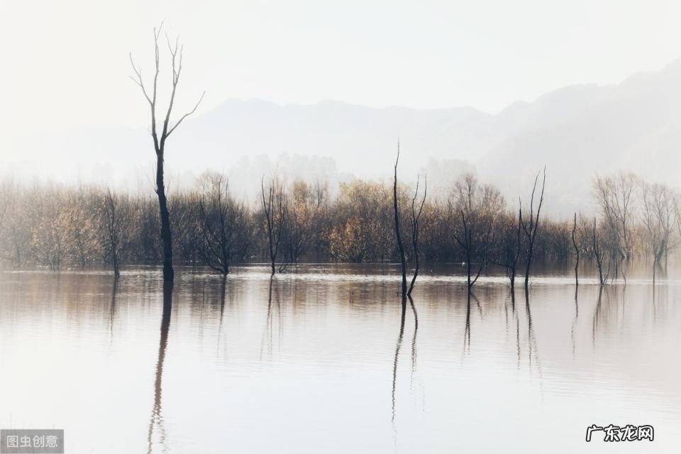 常见八种诗歌体裁类型有哪些 现代诗的体裁有哪些种类