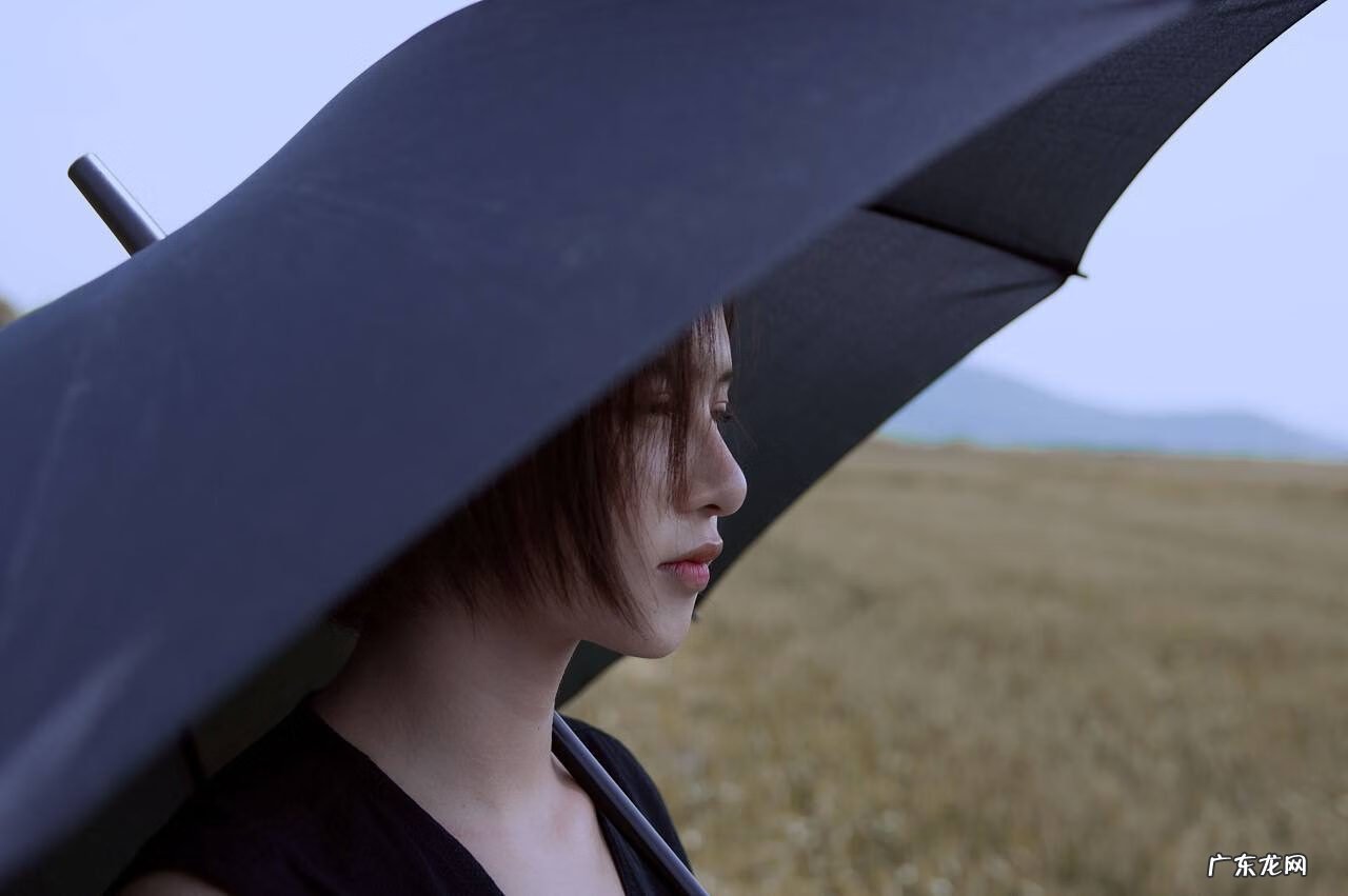 水果图案设计 水果风水寓意