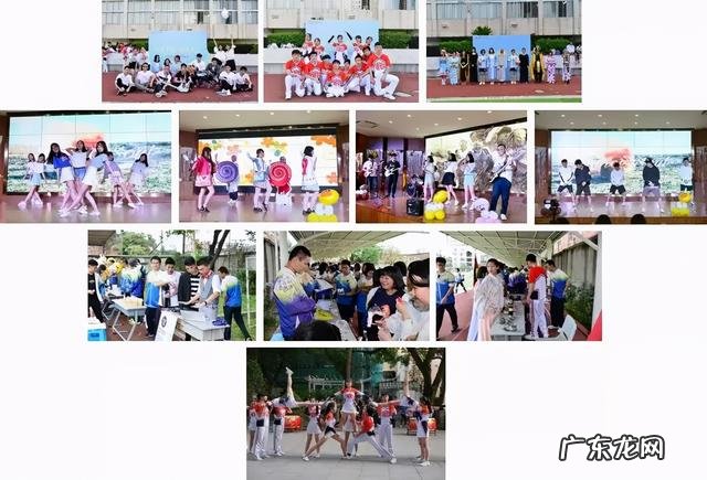 新东方学校官网首页 新东方外语学校地址