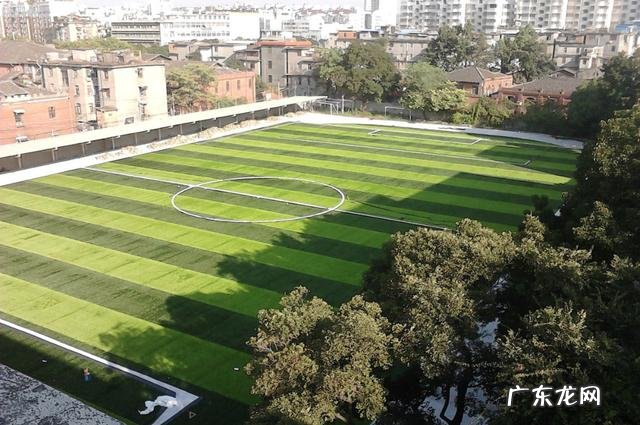 新东方学校官网首页 新东方外语学校地址