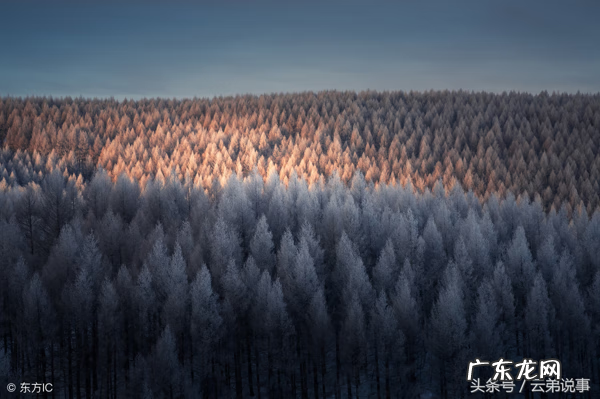 庄子名句赏析经典语录 易经风水经典语录