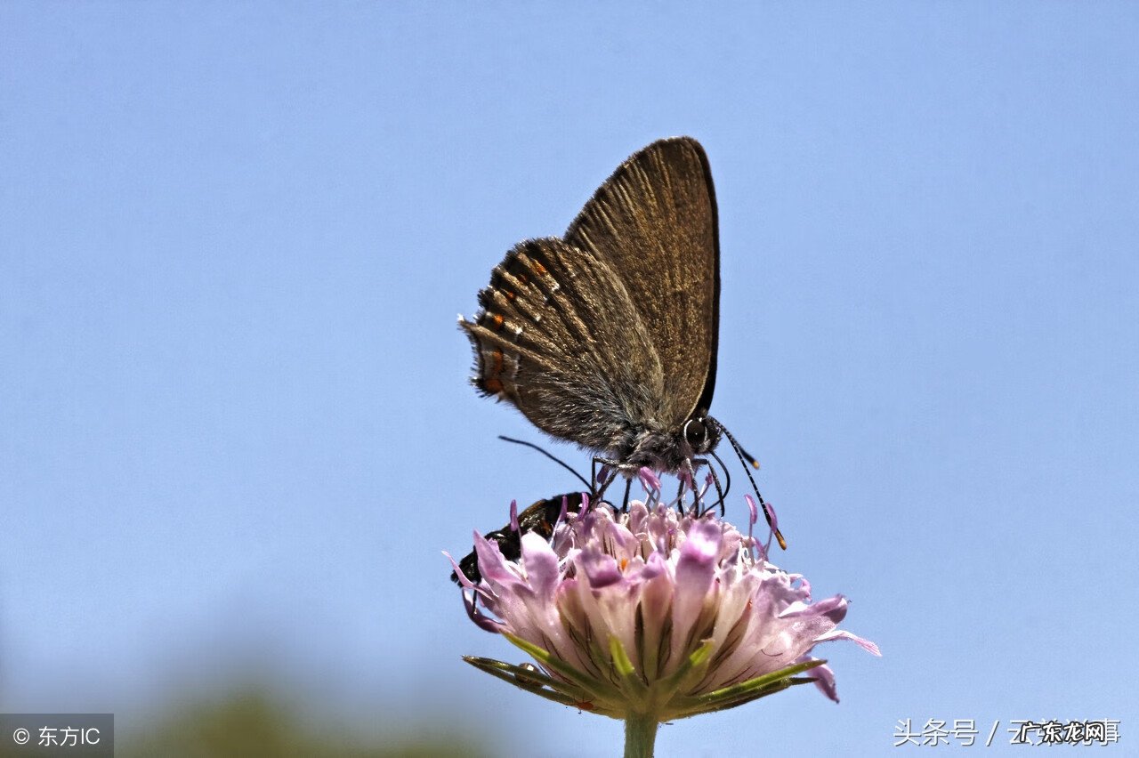 庄子名句赏析经典语录 易经风水经典语录