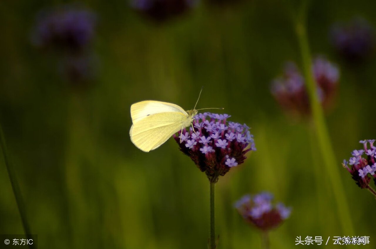 庄子名句赏析经典语录 易经风水经典语录