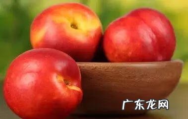 西瓜的英语怎么说呢 西瓜用英语怎么说怎么写