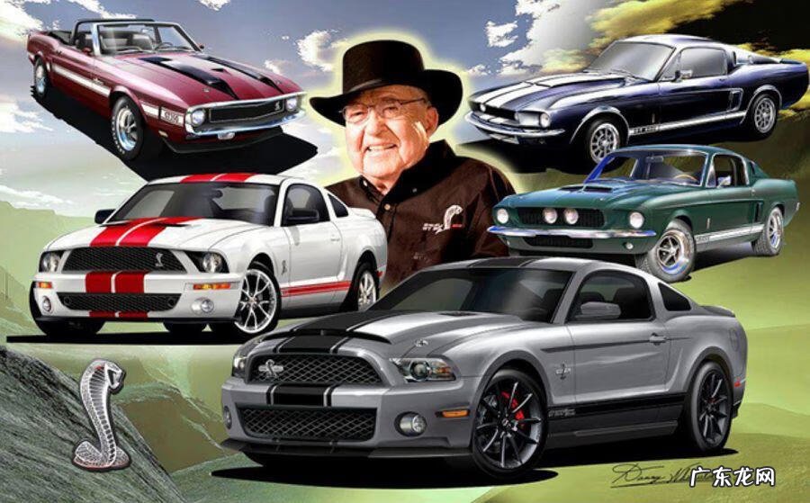 直播平台极速车神 极速车神百度百科