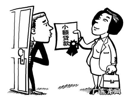 正规的小额借贷平台有哪些而且容易通过,哪个借贷平台比较正规