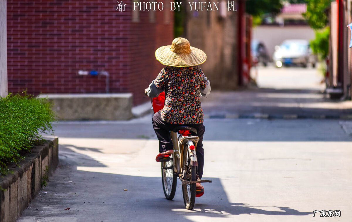 风水凤凰双展翅 风水凤凰展翅是求什么