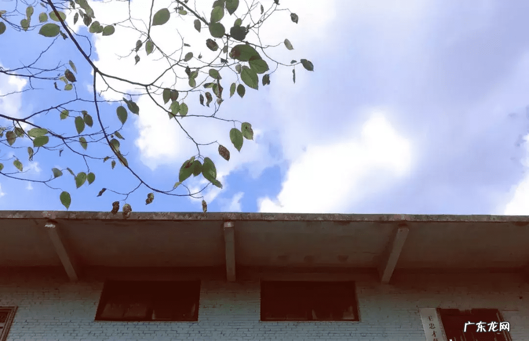 圣斗士星矢银河战争篇是哪个 银河战争史