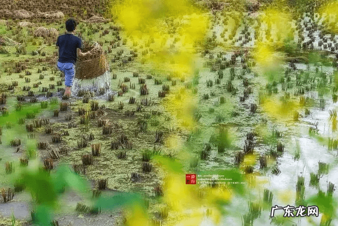 圣斗士星矢银河战争篇是哪个 银河战争史