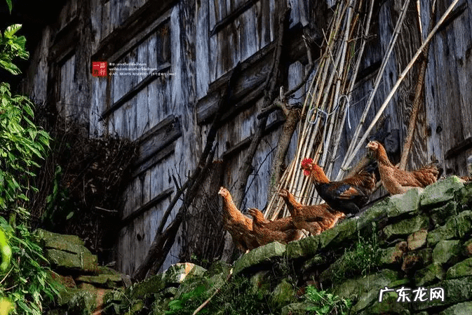 圣斗士星矢银河战争篇是哪个 银河战争史