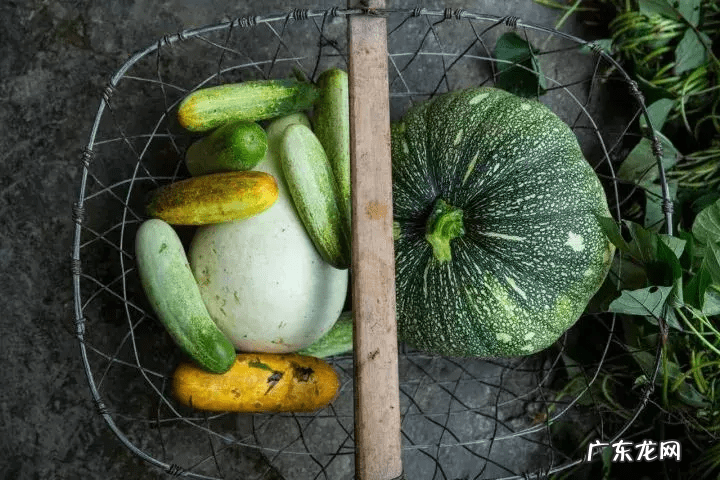 圣斗士星矢银河战争篇是哪个 银河战争史