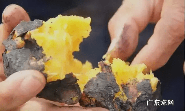 圣斗士星矢银河战争篇是哪个 银河战争史