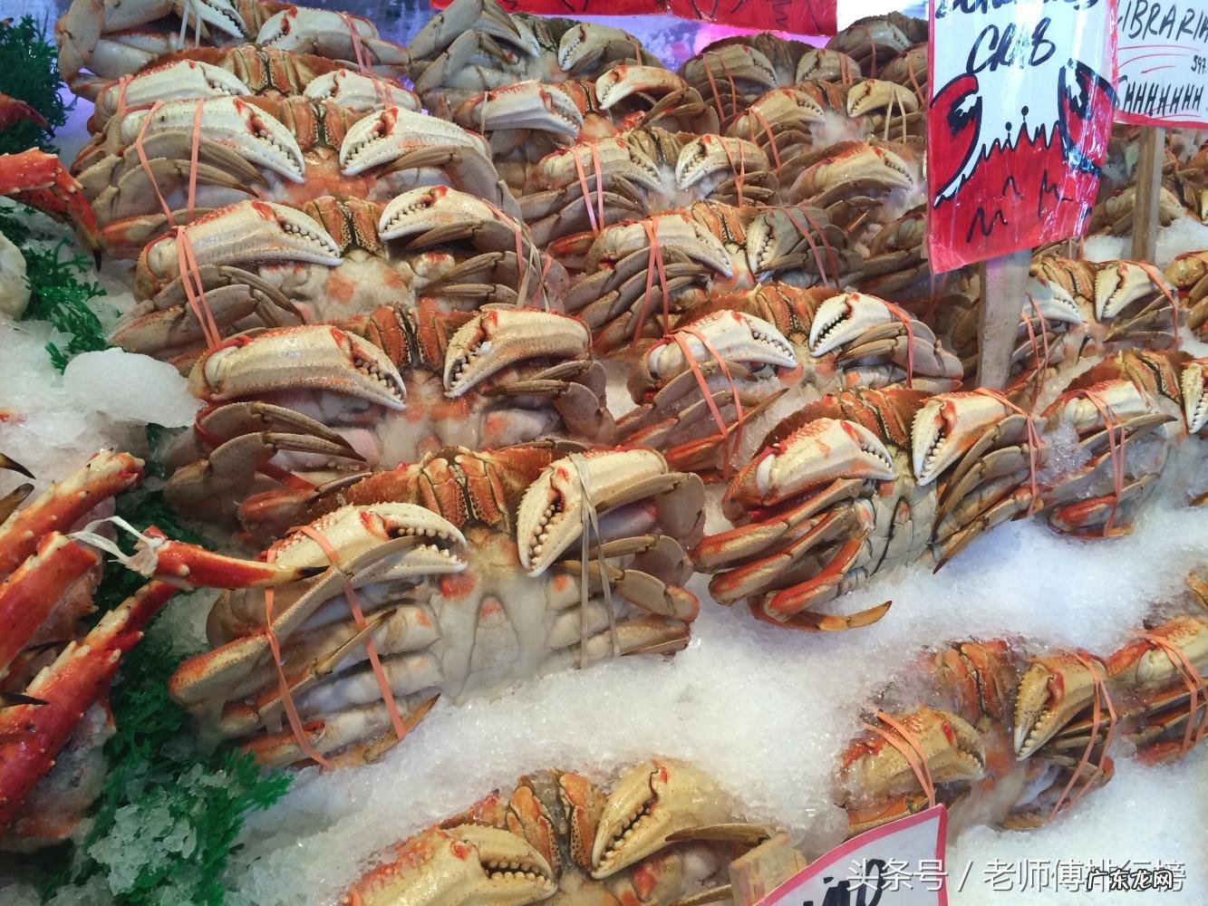 大闸蟹最好的品牌排行榜 哪个牌子的大闸蟹好吃