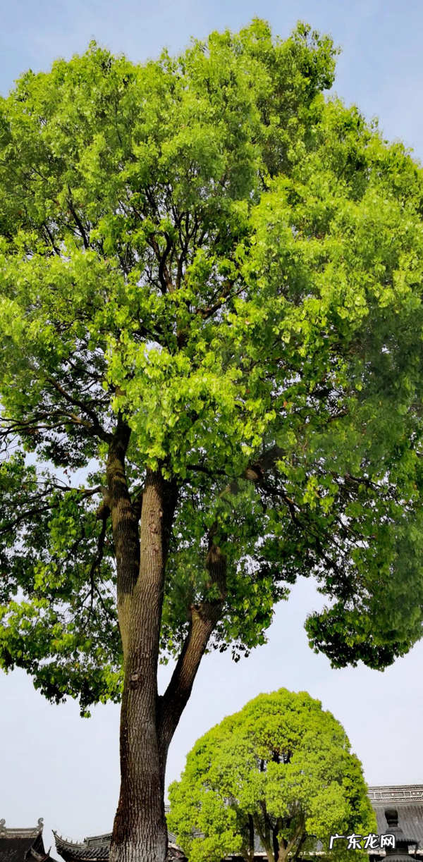 佛说人生感悟的图片 佛法人生图片