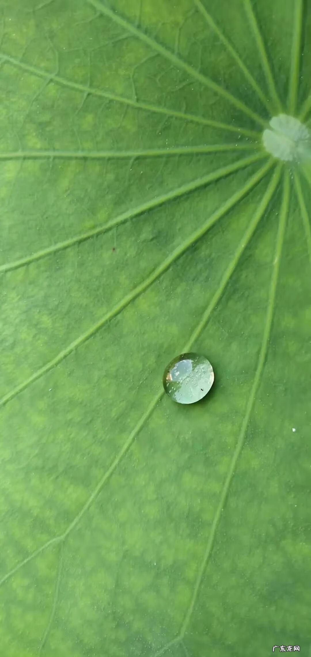 佛说人生感悟的图片 佛法人生图片