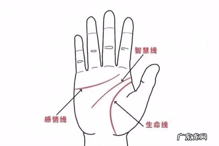 女生感情线图解大全 这三大感情线的对比