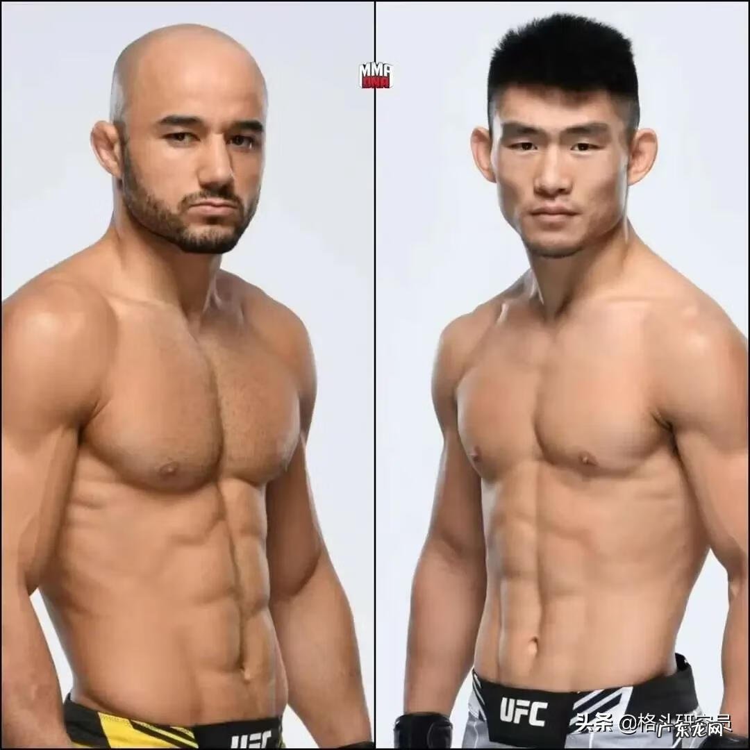 功夫猴子的意思 功夫猴子图片大全