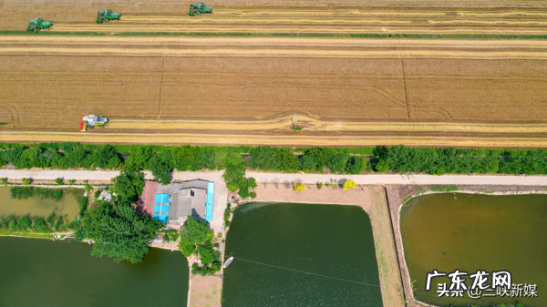 草埠湖为什么叫草埠湖 湖北当阳草埠湖