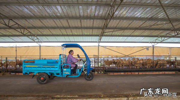 草埠湖为什么叫草埠湖 湖北当阳草埠湖