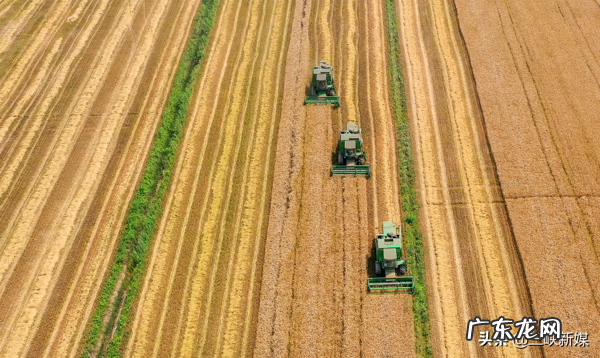 草埠湖为什么叫草埠湖 湖北当阳草埠湖