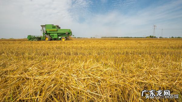 草埠湖为什么叫草埠湖 湖北当阳草埠湖