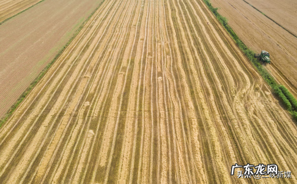 草埠湖为什么叫草埠湖 湖北当阳草埠湖