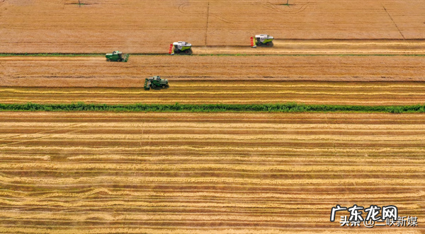 草埠湖为什么叫草埠湖 湖北当阳草埠湖