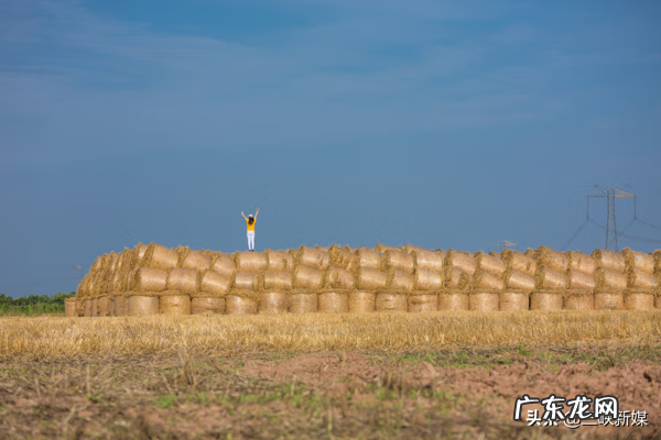 草埠湖为什么叫草埠湖 湖北当阳草埠湖