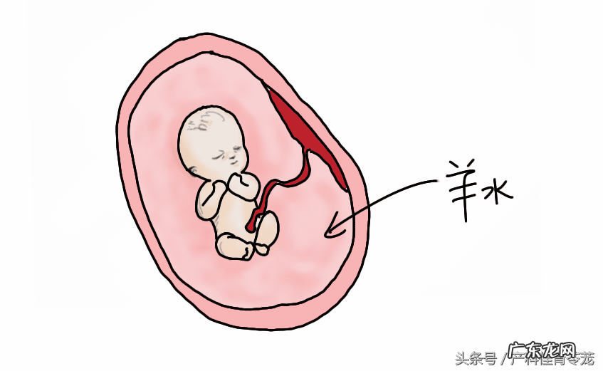 企业bpd是什么意思 bpd是什么意思?