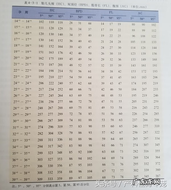 企业bpd是什么意思 bpd是什么意思?
