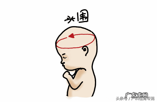 企业bpd是什么意思 bpd是什么意思?