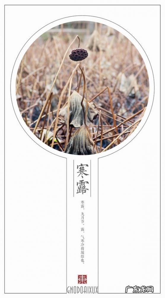 中国二十四大节气有哪些 二十四节气表时间表农历