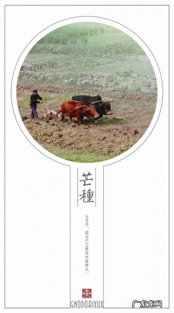 中国二十四大节气有哪些 二十四节气表时间表农历