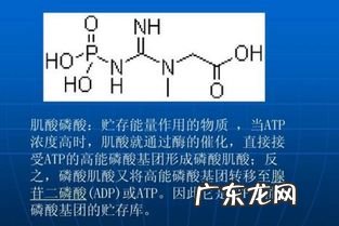DHCP的英文全称是什么 cp在化学中是哪个的缩写