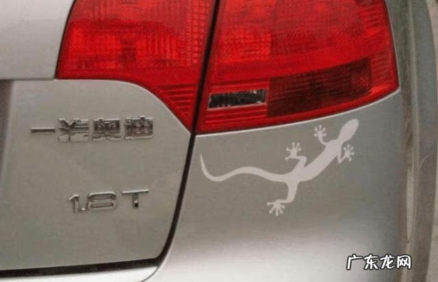 家里 壁虎 风水 家门口出现壁虎的风水