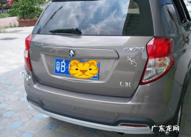 家里 壁虎 风水 家门口出现壁虎的风水