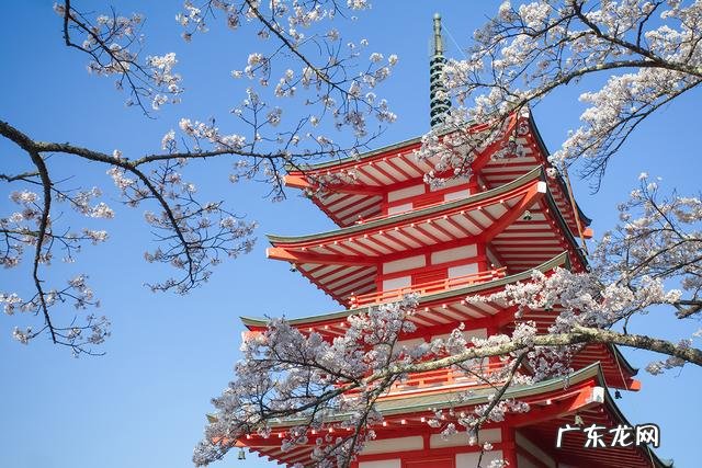 新东方日语网课怎么样 新东方日语培训