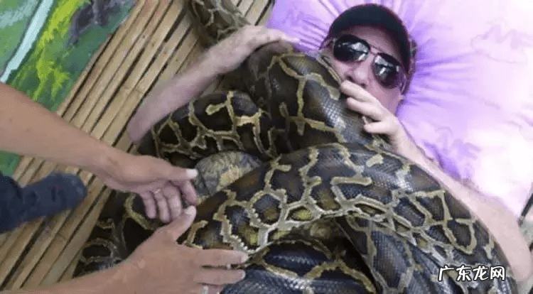 古德温勇士 古德温已经死了