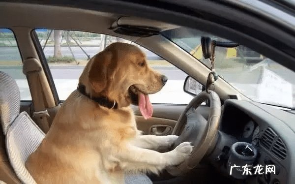 古德温勇士 古德温已经死了