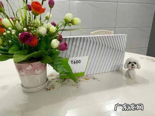 丽台专业显卡排行榜,丽台显卡哪个系列好