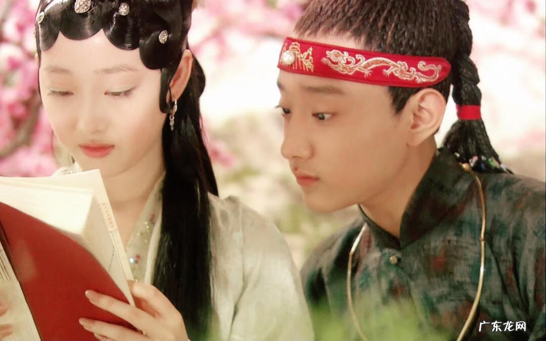 新红楼梦香港版的 新红楼梦